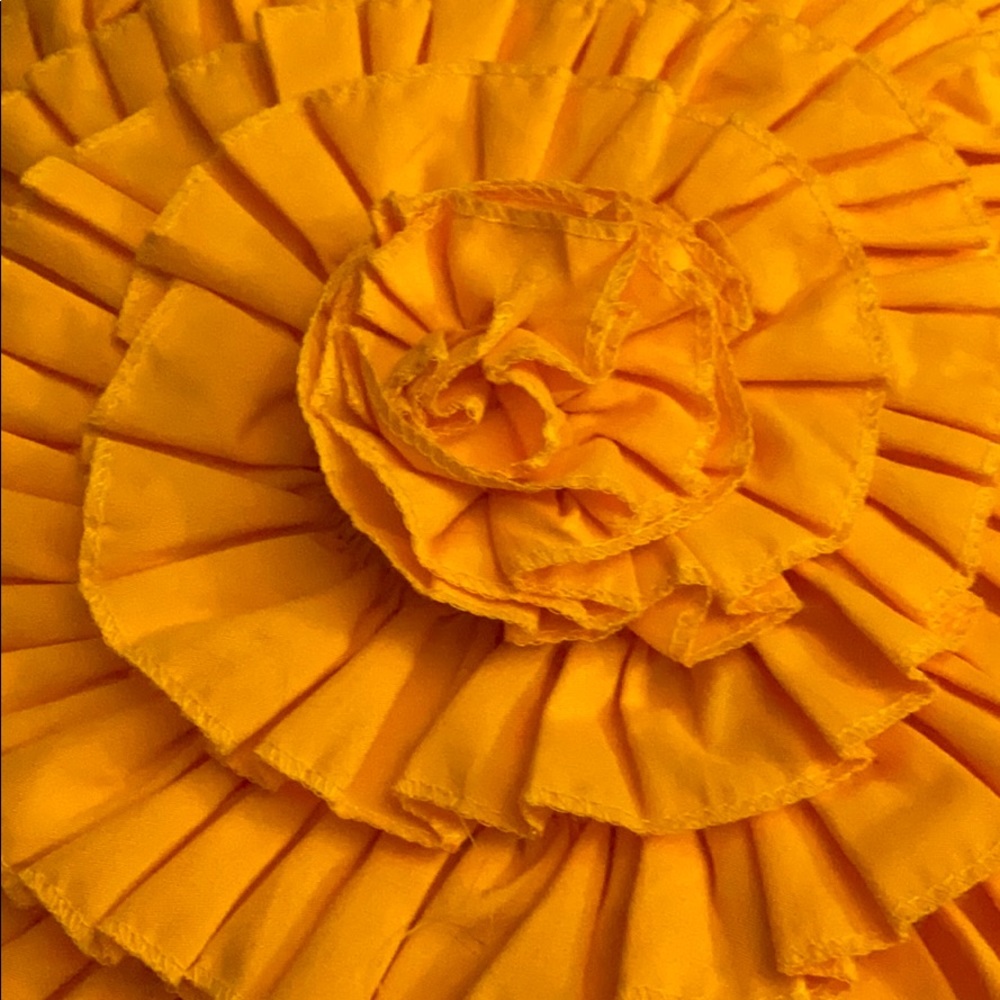 Meet your Posher, Tessa